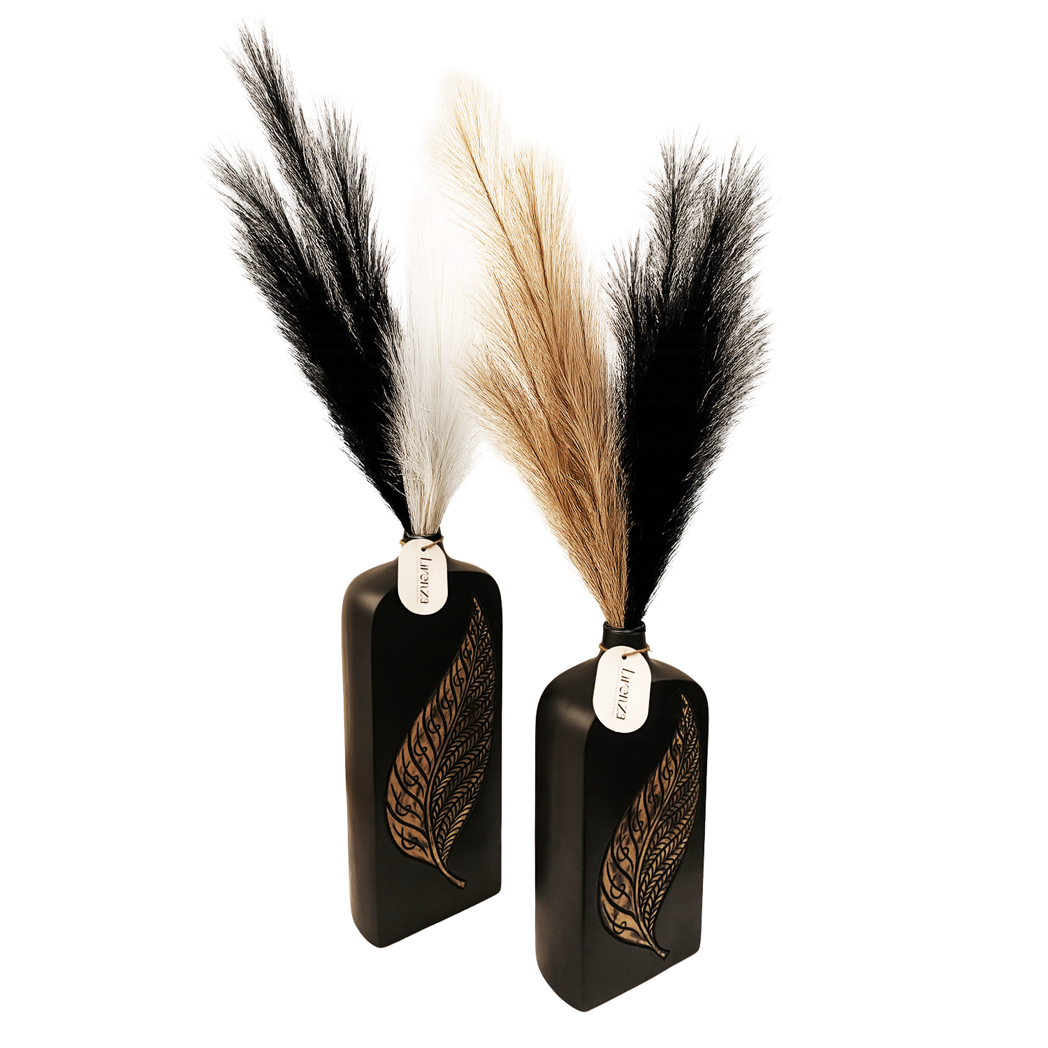 Obsidian Reed