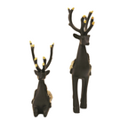 Aurion Deers