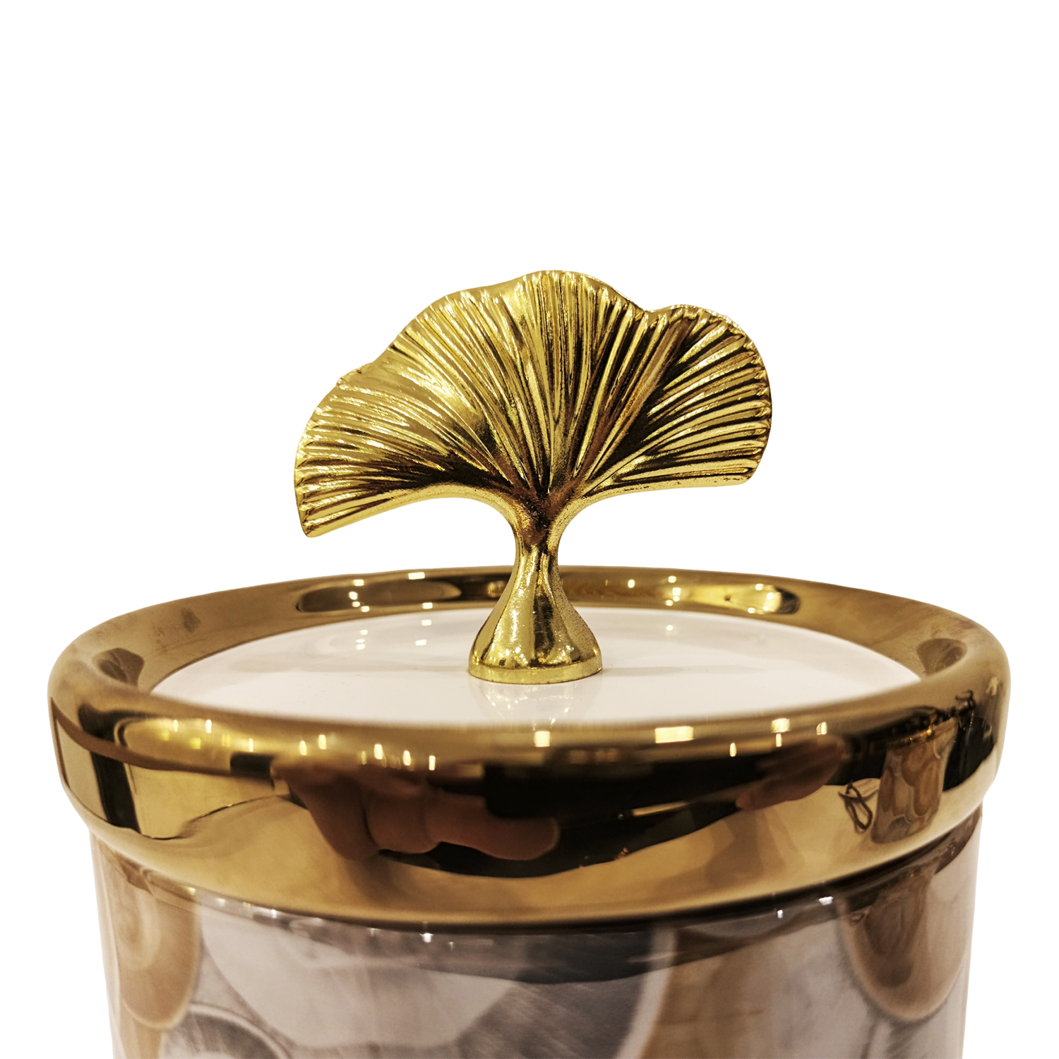Aurevia Canisters