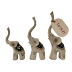 Ivoria Parade
