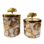 Aurevia Canisters