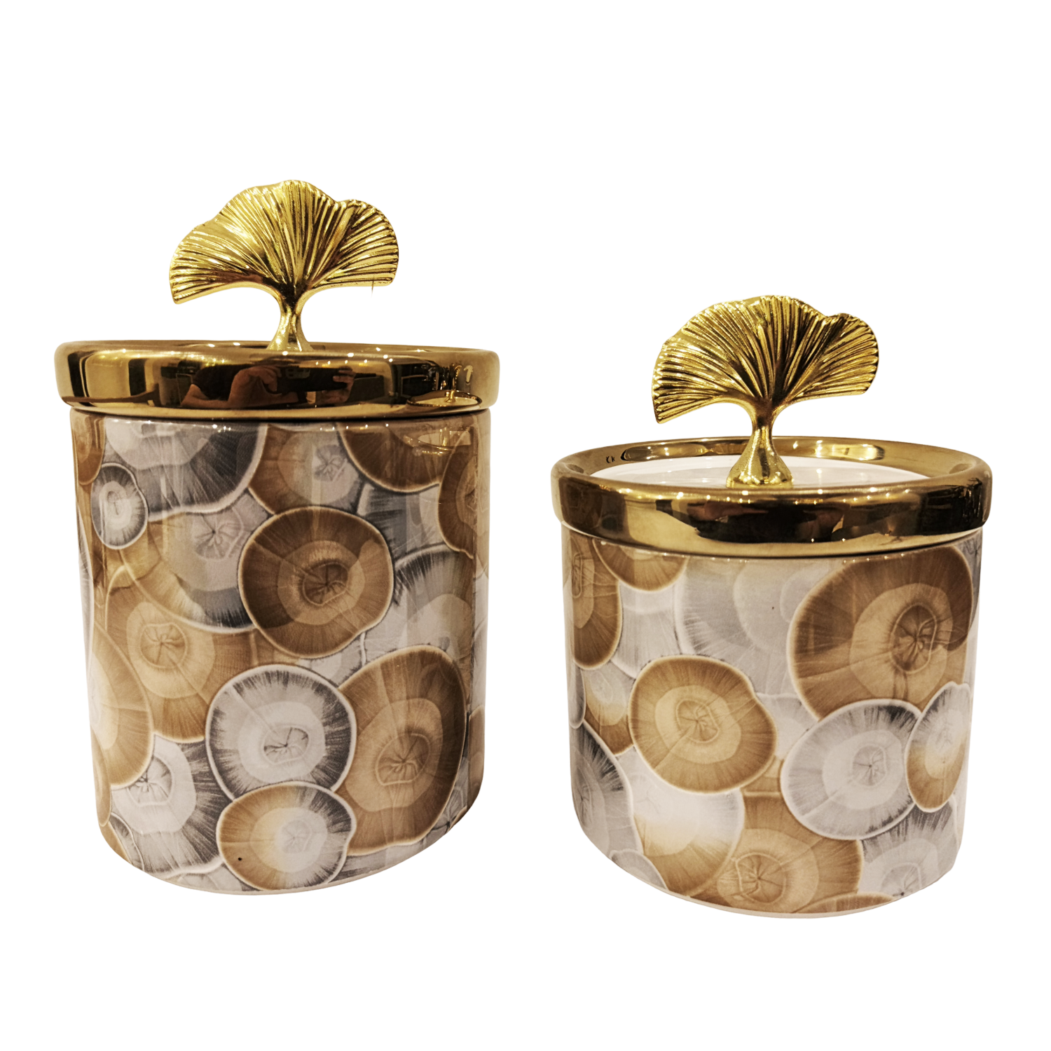 Aurevia Canisters