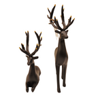 Aurion Deers