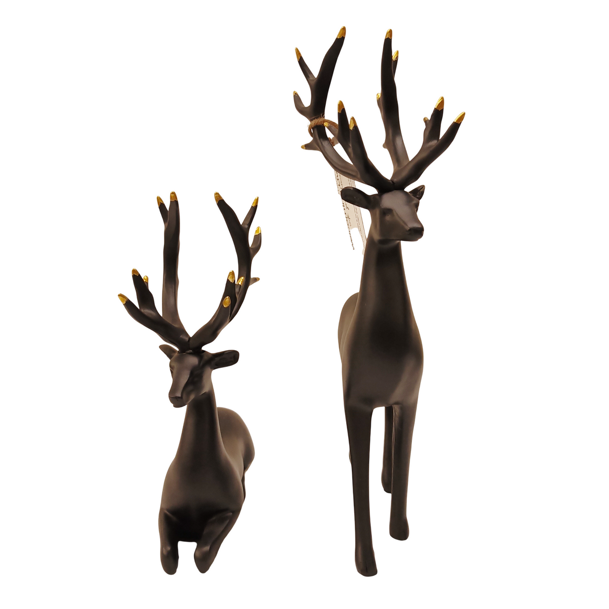 Aurion Deers
